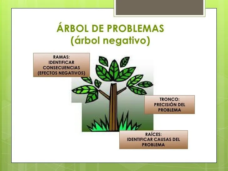metodologa-del-rbol-8-728.jpg? ...