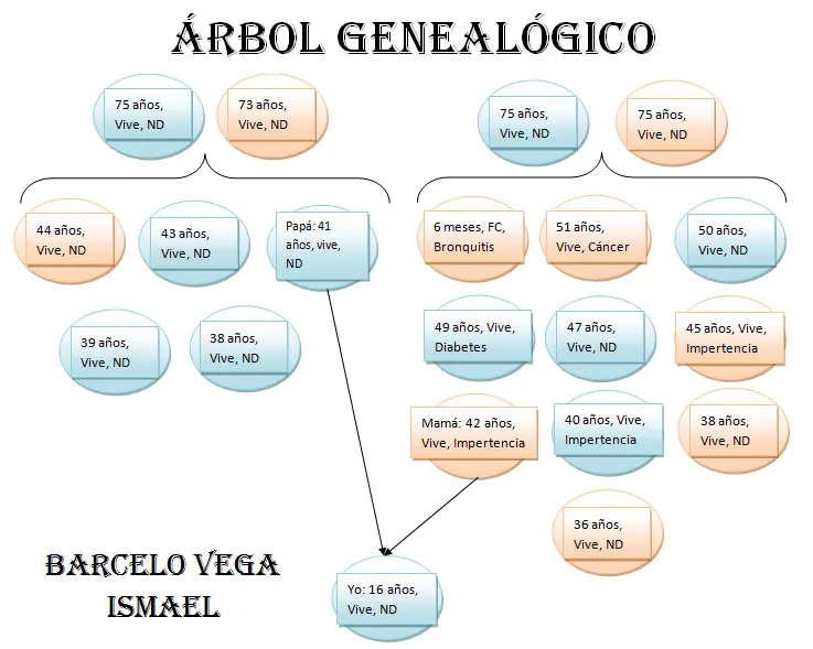 metodologia: Arbol genealogico