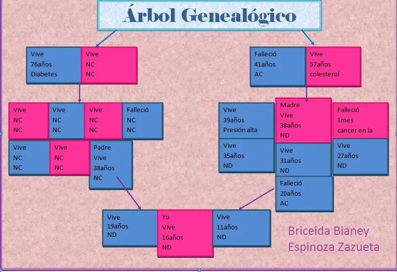 Arbol genealogico plantilla word - Imagui