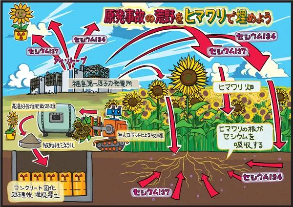 El metro de goma: Pequeños avances en Fukushima. El metro de goma: Pequeños avances en Fukushima.