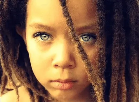 Meu Reggae é Roots