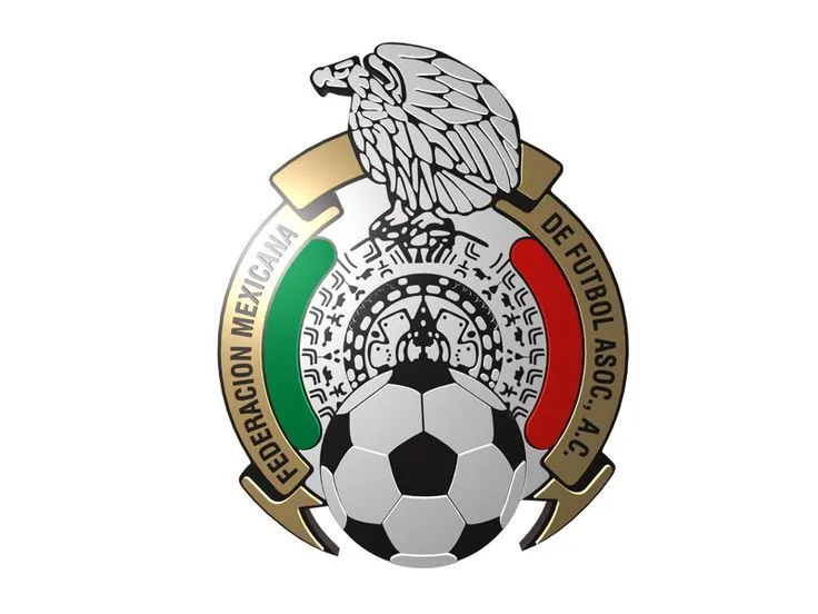 MEXICO Brasil 2014 :) | Brasil 2014 World Cup | Pinterest | Fifa ...