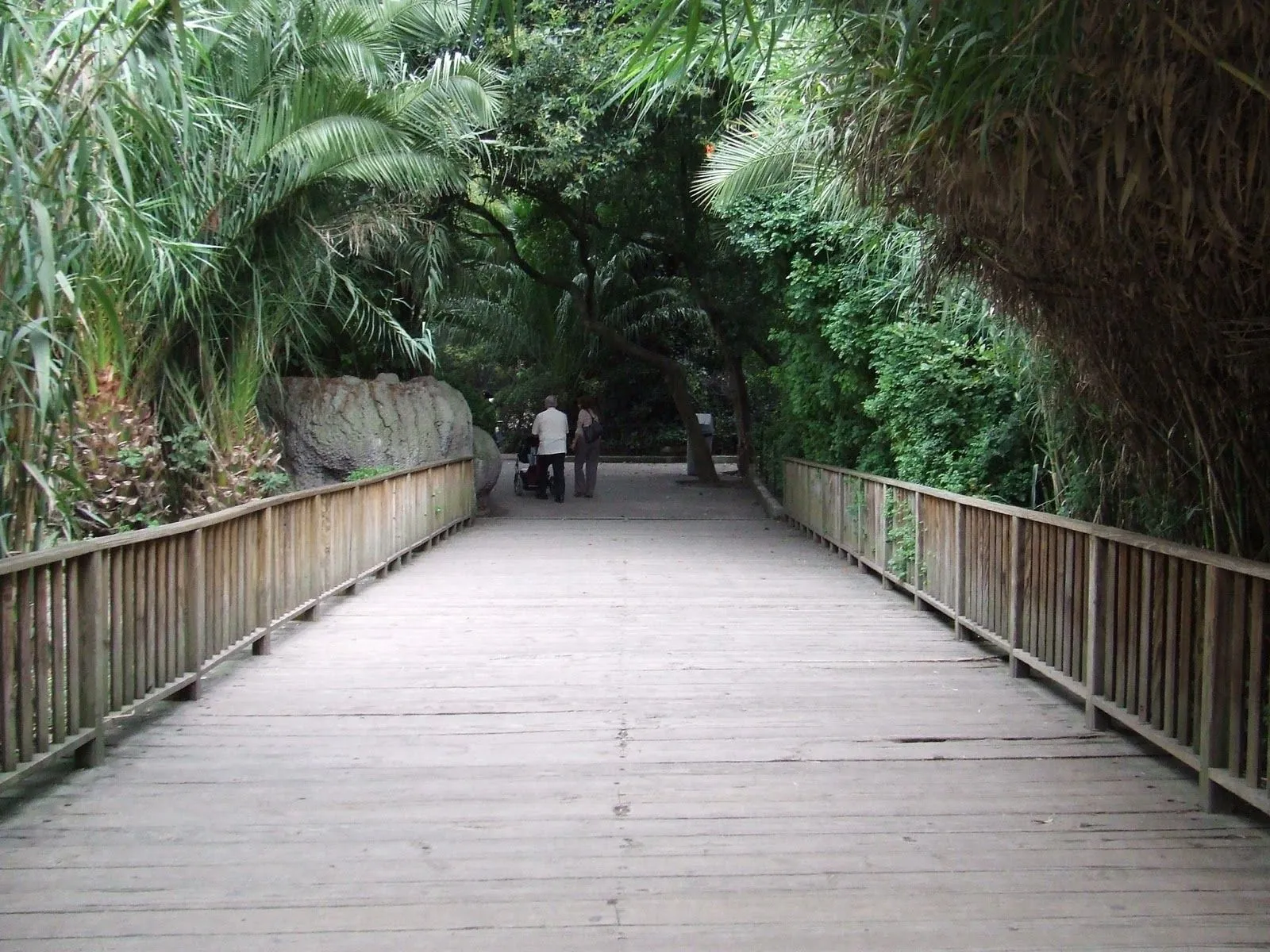 MEXIFAUNA: Los Zoológicos y Nuestro Blog MEXIFAUNA MEXIFAUNA: Los Zoológicos y Nuestro Blog MEXIFAUNA