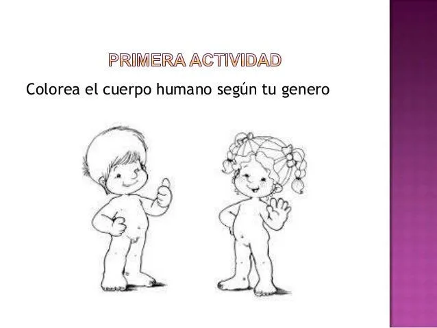 mi-cuerpo-11-638.jpg?cb=1385400476