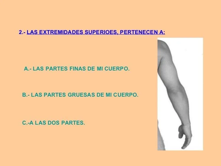 mi-cuerpo-11-728.jpg?cb=1309960997