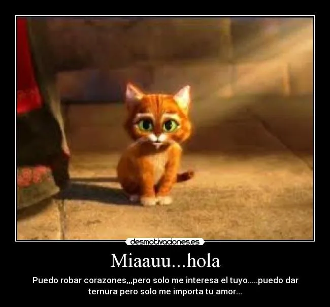 Miaauu...hola | Desmotivaciones