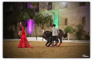 Cosas mías: Pasión y Duende del caballo Andaluz. Cosas mías: Pasión y Duende del caballo Andaluz.