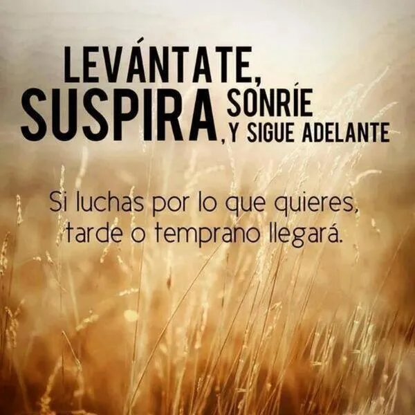 Mr. M on Twitter: "La frase para comenzar el día.... ¡Buenos días ... Mr. M on Twitter: "La frase para comenzar el día.... ¡Buenos días ...