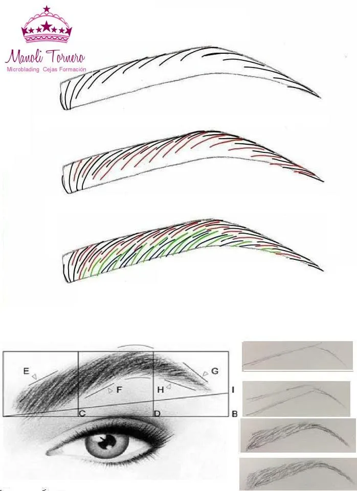 Microblading Curso on X: Microblading Curso on X: