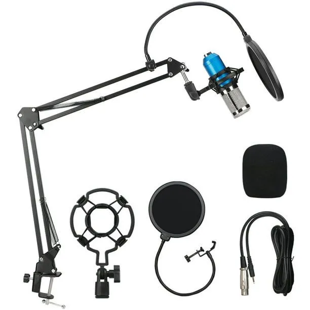 Micrófono de canto, estable con marco grueso a prueba de golpes Micrófono  práctico, firme resistente a caídas para computadora  domésticaTVsAndVideoDisplays Fyydes Descripción de la referencia | Walmart  en línea