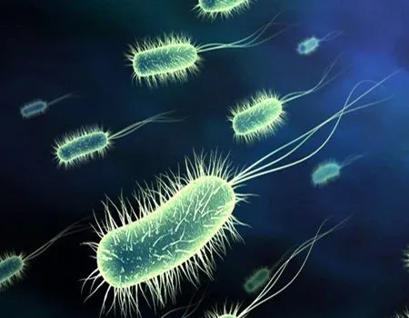 MICROORGANISMOS, PEQUEÑOS PERO... | Gori-Gori MICROORGANISMOS, PEQUEÑOS PERO... | Gori-Gori