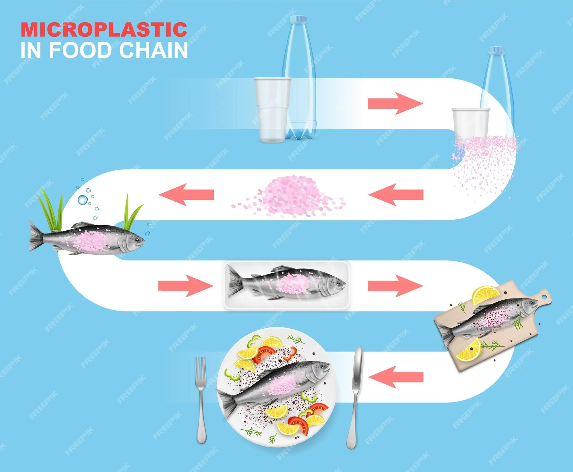 Microplásticos en la cadena alimentaria vector infografía entorno marino impacto de residuos plásticos en los animales acuáticos ... | Vector Premium Microplásticos en la cadena alimentaria vector infografía entorno marino impacto de residuos plásticos en los animales acuáticos ... | Vector Premium