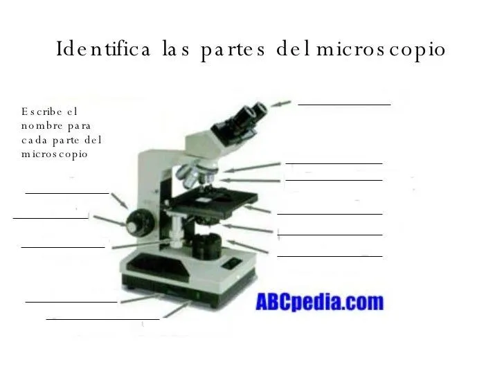 microscopio-5-728.jpg?cb= ...