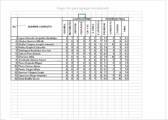 Microsoft Office Excel 2013
