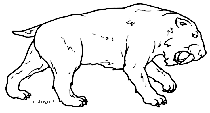Midisegni.it - Dibujos para colorear