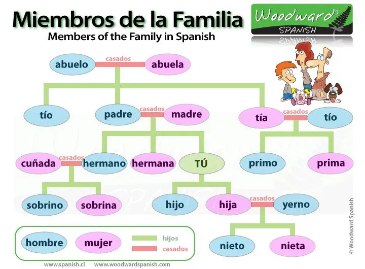 miembros-de-la-familia.jpg