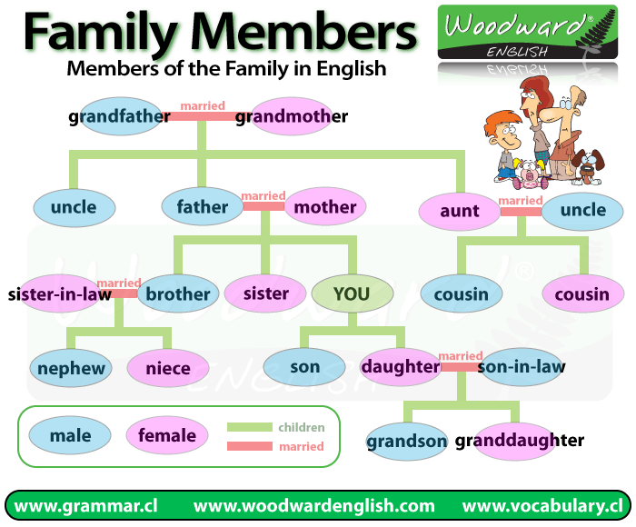 Los miembros de la familia en inglés - Aprendo inglés