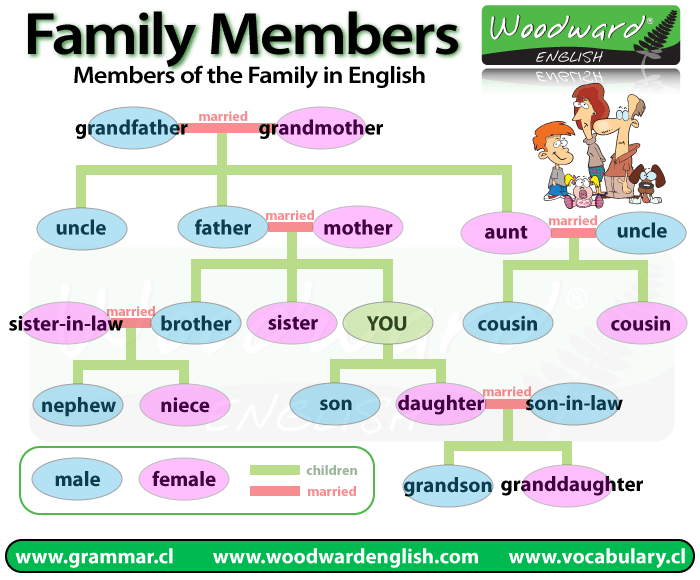 Los miembros de la familia en inglés - Aprendo inglés Los miembros de la familia en inglés - Aprendo inglés