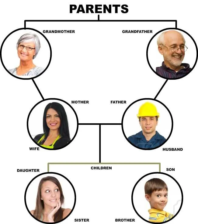 Miembros De Una Familia En Inglés | Blog Para Aprender Ingles Miembros De Una Familia En Inglés | Blog Para Aprender Ingles