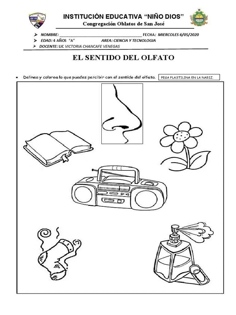 Mierc-6-C T Olfato | PDF