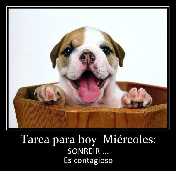 Miércoles - Imágenes para Compartir (Página 10) Miércoles - Imágenes para Compartir (Página 10)
