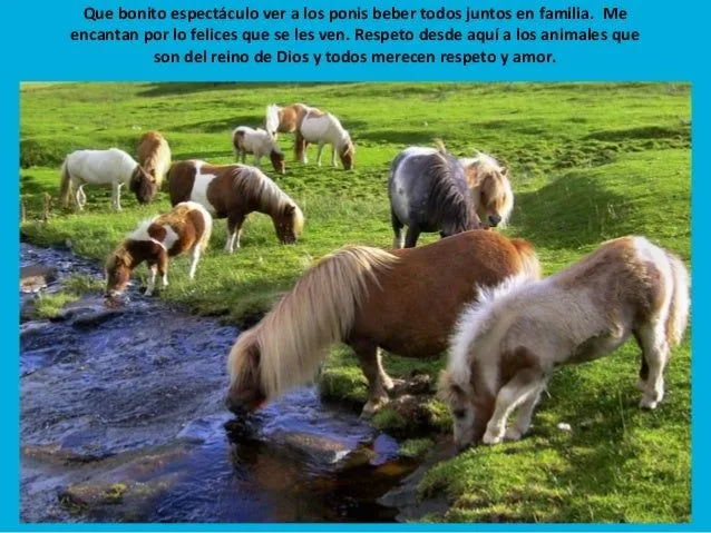 Mike baker Ponis