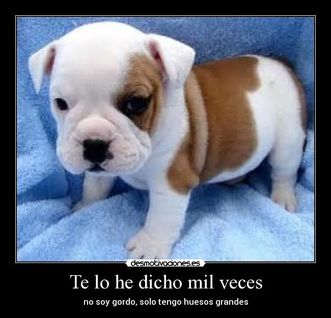 Carteles de Tiernos Pag. 5 | Desmotivaciones