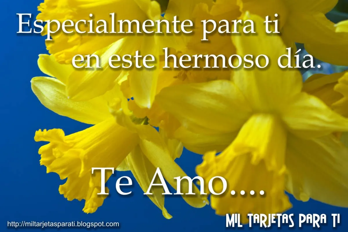 Mil Tarjetas paraTi: Especialmente para ti en este hermoso día. Te Amo
