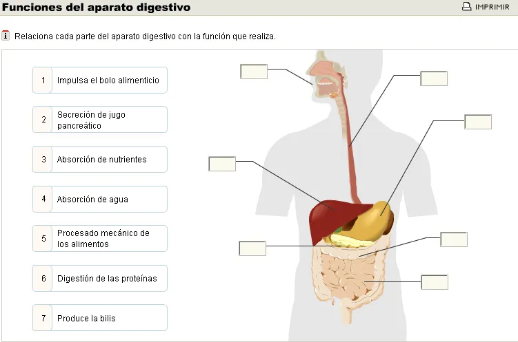 MilagroTIC: C. MEDIO 6º - REPASO TEMAS 6º (1 al 5) MilagroTIC: C. MEDIO 6º - REPASO TEMAS 6º (1 al 5)