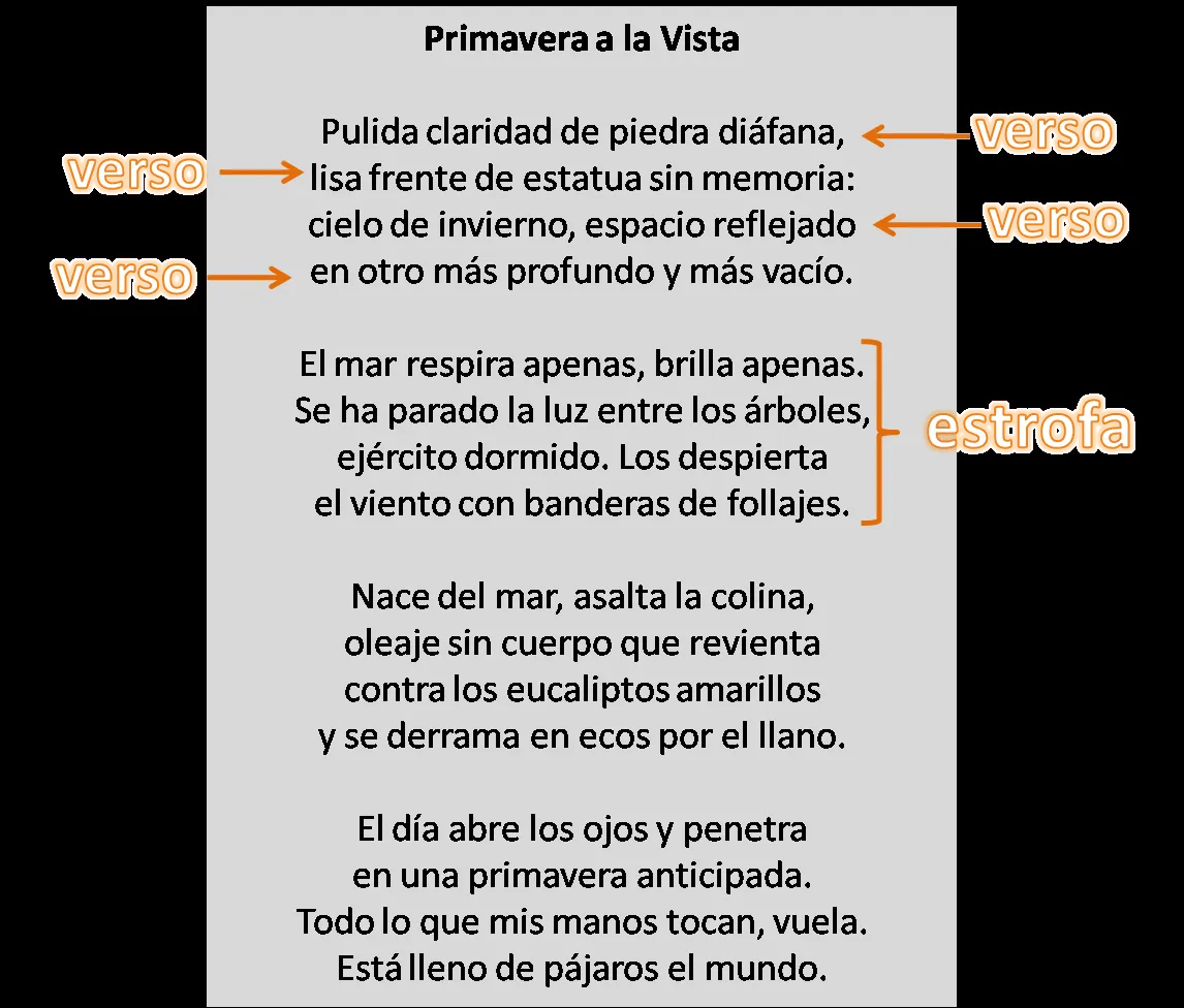 MilagroTIC: LENGUA 5º - POESÍA: TIPOS DE RIMA y POEMAS DE LORCA PARA NIÑOS