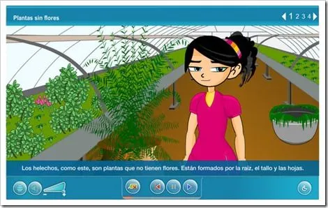 MilagroTIC: TEMA 2 - C. MEDIO - 5º - LAS PLANTAS - NUTRICIÓN ... MilagroTIC: TEMA 2 - C. MEDIO - 5º - LAS PLANTAS - NUTRICIÓN ...