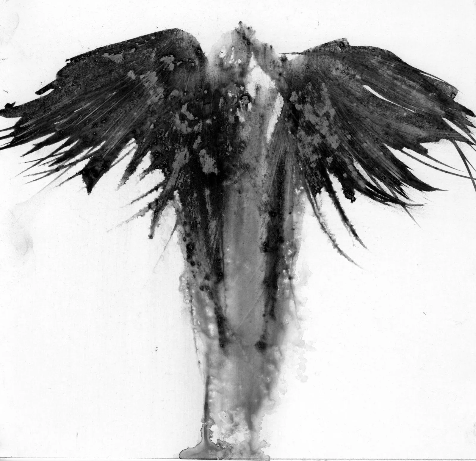 mimoleskinenegro: Alas