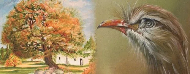 MINIATURA-caminarte-640x250.jpg