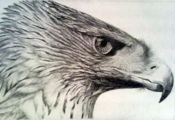 Mirada de Águila José Manuel Méndez Vivas - Artelista.com Mirada de Águila José Manuel Méndez Vivas - Artelista.com
