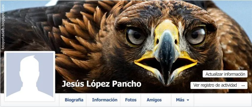 LA MIRADA DE UN AGUILA REAL | Foto Portada para Facebook LA MIRADA DE UN AGUILA REAL | Foto Portada para Facebook