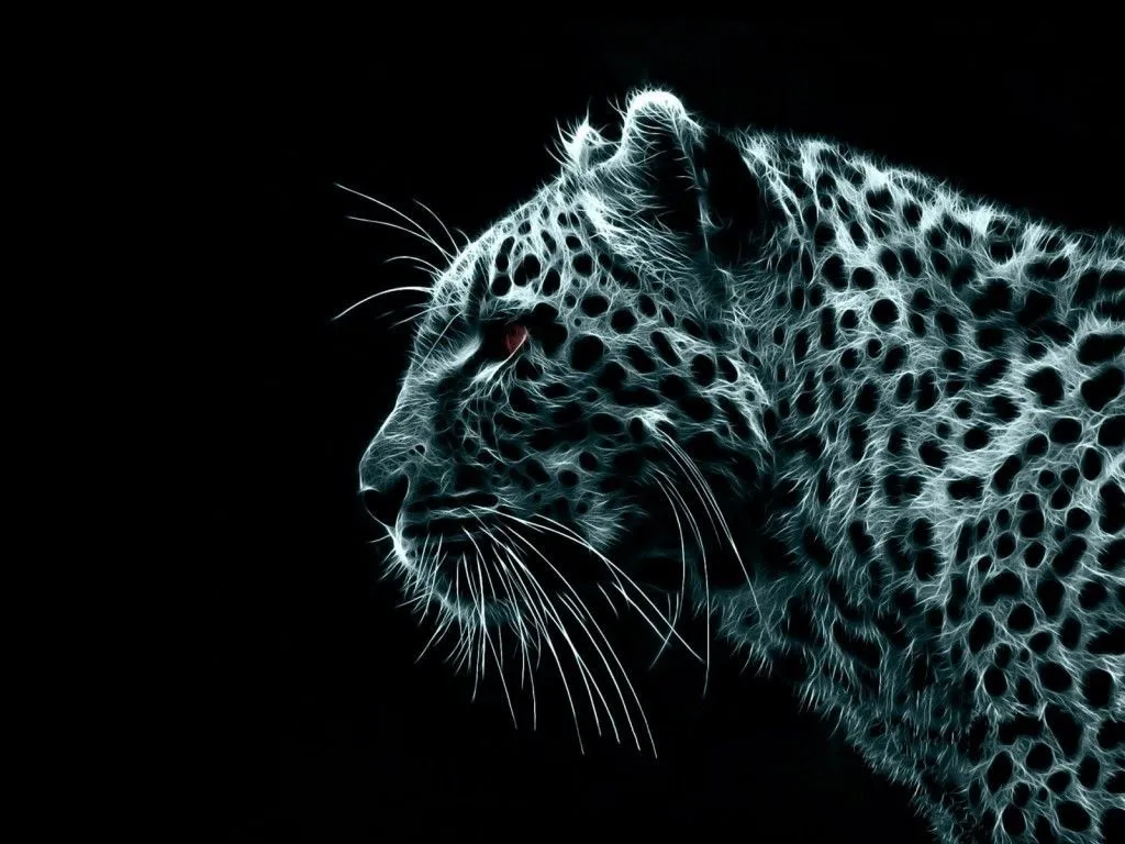 Mirada fija! | FELINOS | Pinterest | Animales Mirada fija! | FELINOS | Pinterest | Animales
