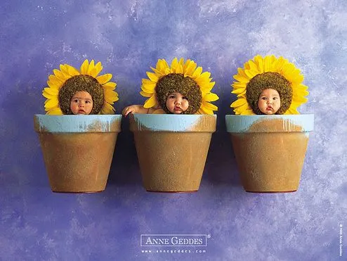 Mirando al mundo con sentimientos: Los bebés de Anne Geddes