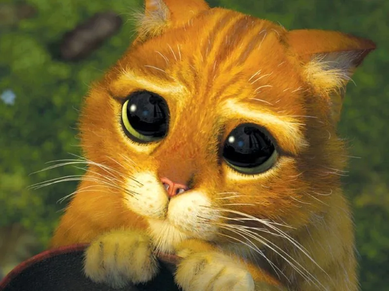 Mirando a la nada: febrero 2011