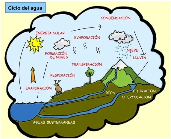 La misión azul: El ciclo del agua -