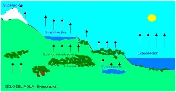 La misión azul: El ciclo del agua -