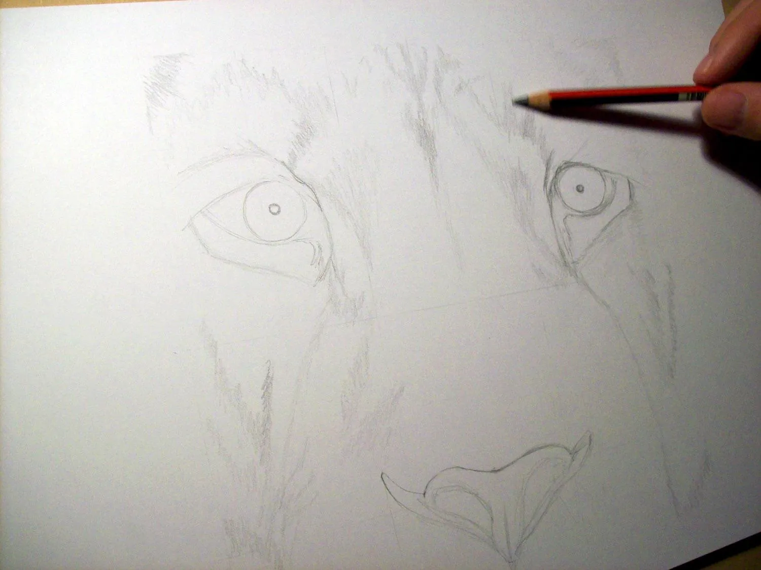 Ahora mismo: dibujando la de cara de un león /Right now: drawing the ... Ahora mismo: dibujando la de cara de un león /Right now: drawing the ...