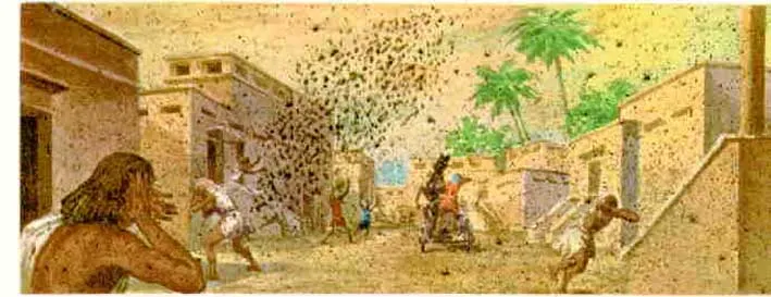 MISTERIOS del Hombre y del Universo: Las diez plagas de Egipto ...