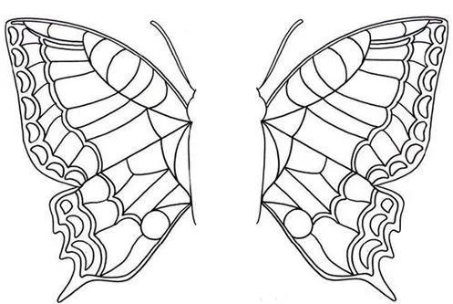 A mitad de… | La mariposa cubana