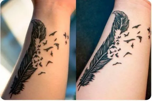 MiTattoo - Fotos de Tatuajes: Tatuajes de Plumas MiTattoo - Fotos de Tatuajes: Tatuajes de Plumas