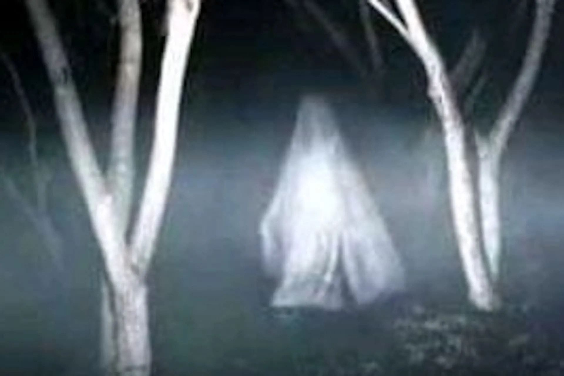 Mitos argentinos: los aullidos de La Llorona aterran a un pueblo en cuarentena - LA NACION Mitos argentinos: los aullidos de La Llorona aterran a un pueblo en cuarentena - LA NACION
