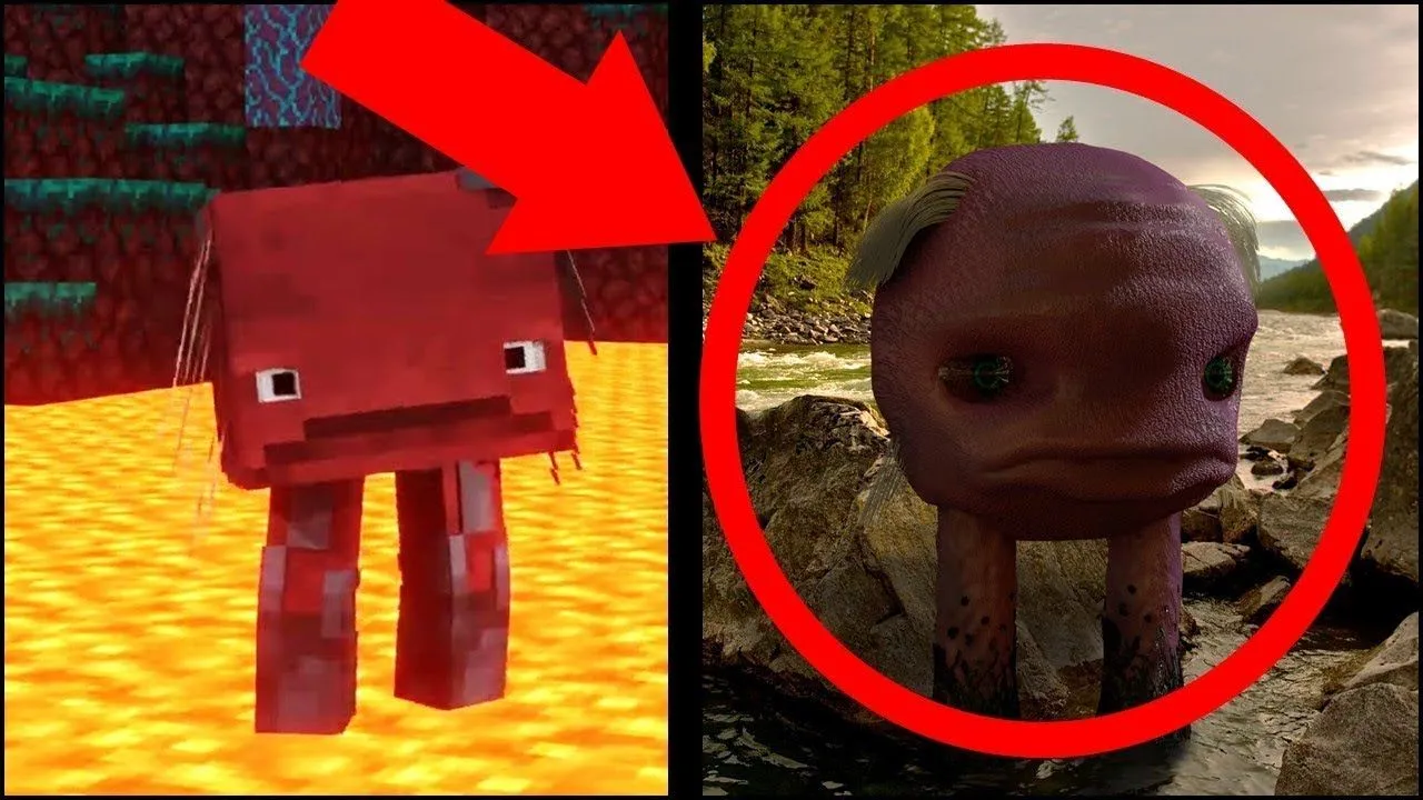 Mobs de Minecraft CAPTADOS EN LA VIDA REAL 