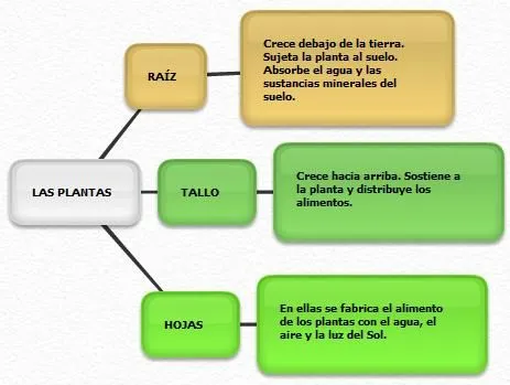 MOCHILA DE LOS SERES VIVOS - CBC/5º y 6º PRIMARIA: EJEMPLOS DE ...