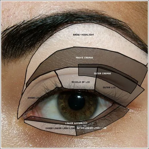 Moda atomica: Partes del Ojo y Correcciones para tu Maquillaje