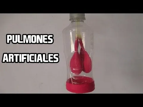 Modelo de corazón humano (alumnos 3ºES - Youtube Downloader mp3 Modelo de corazón humano (alumnos 3ºES - Youtube Downloader mp3