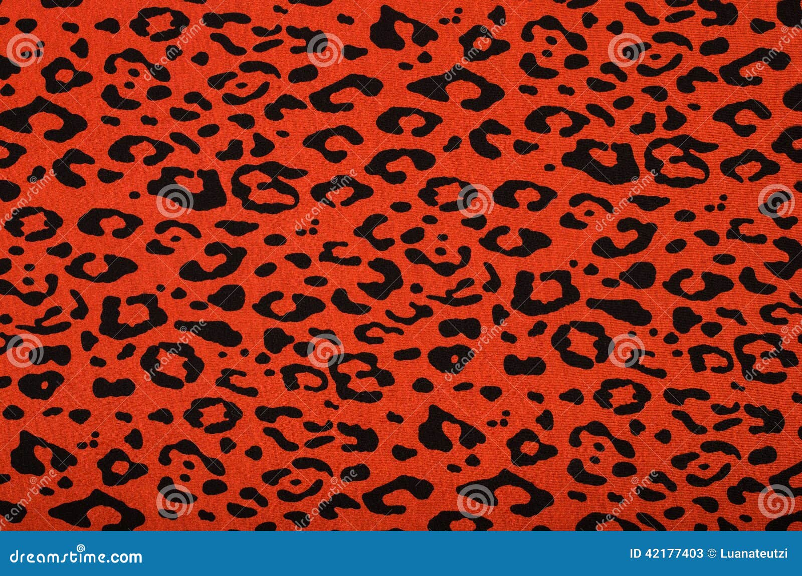 Modelo Negro Y Rojo Del Leopardo Foto de archivo - Imagen: 42177403 Modelo Negro Y Rojo Del Leopardo Foto de archivo - Imagen: 42177403